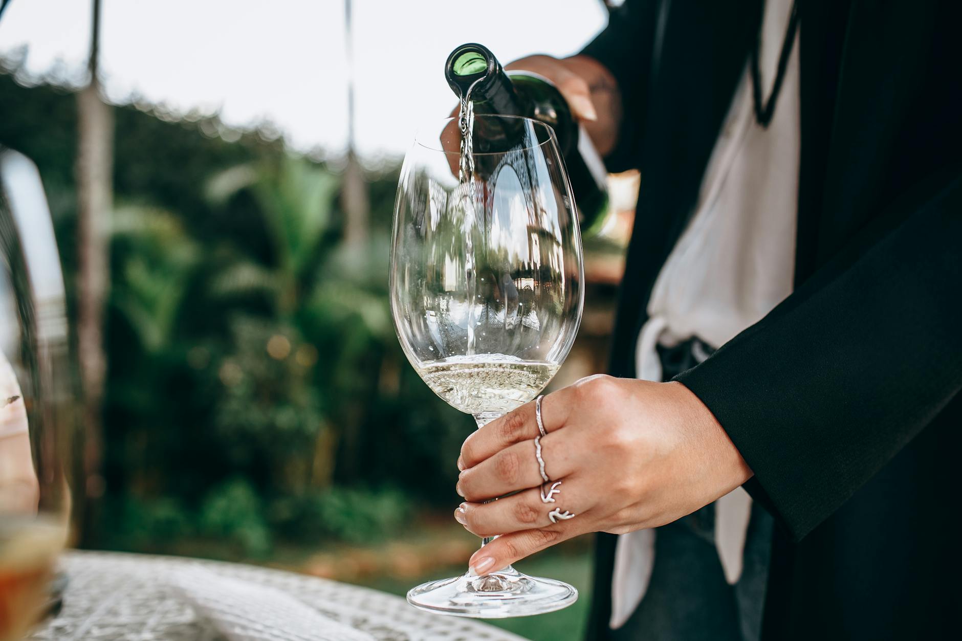 Podávání vína: jak správně nalévat, hodnotit a kombinovat s jídlem 5 chut vina a perlivost sumivych vin podavani vina