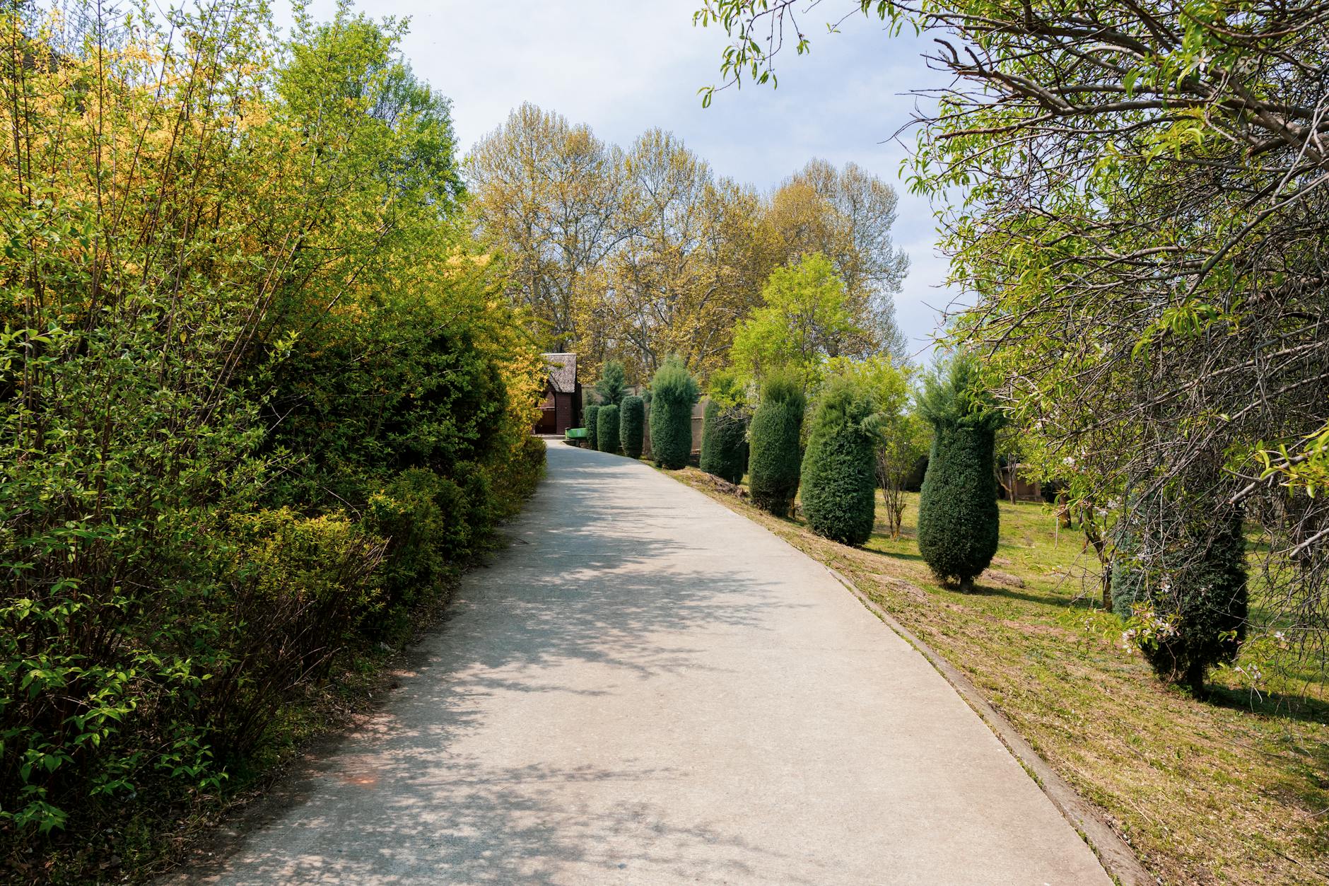 Péče o stromy a dřeviny: od ochrany po arboristiku 3 pro koho je arboristika a pece o stromy urcena zahradnici odbornici i urady pece o stromy a dreviny