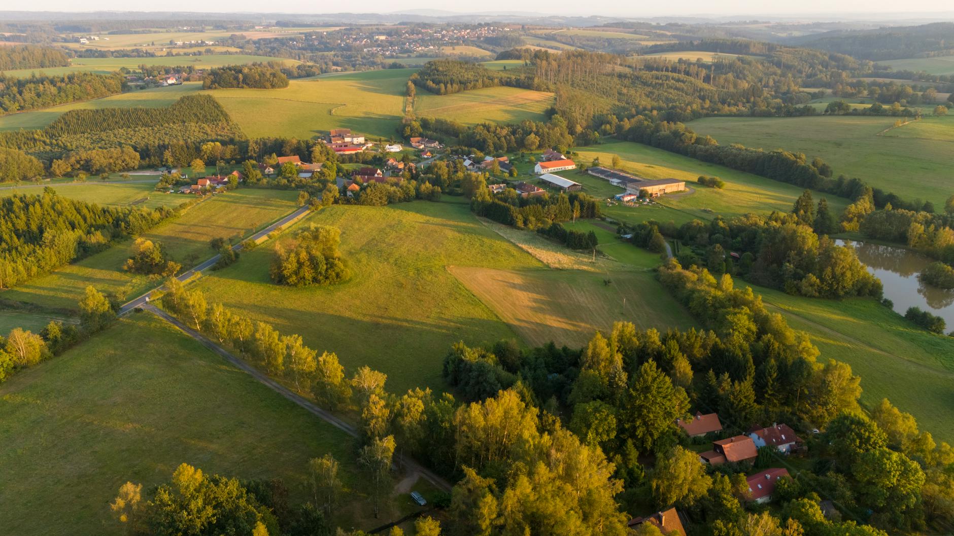 Péče o dřeviny mimo les v ČR: od počátků po současnost 5 rozvoj odborne arboristiky a pece o dreviny v druhe polovine 20 stoleti pece o dreviny mimo les
