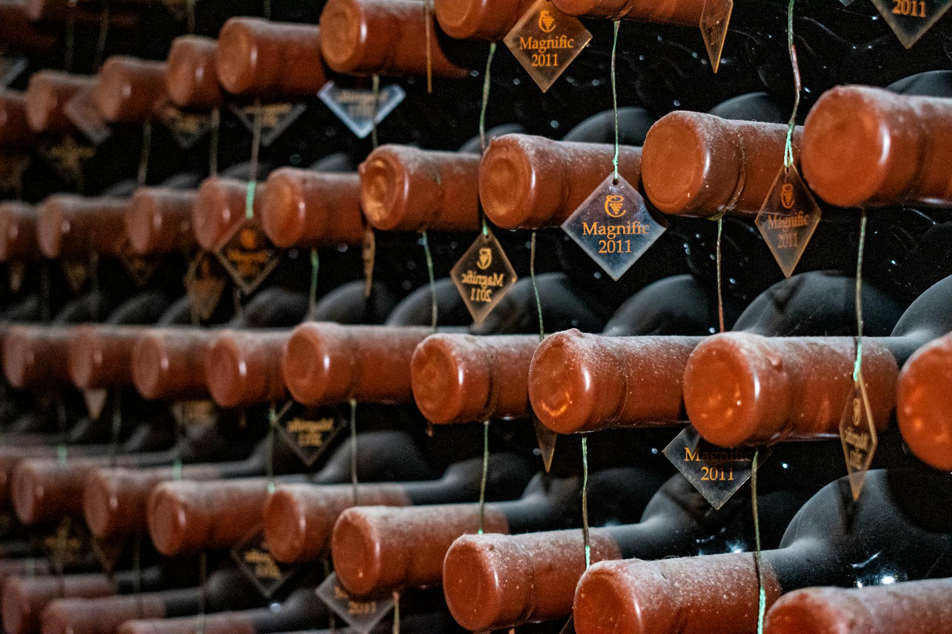 vinarsky sklep stavba rozmery a podminky pro vino vyroba vina