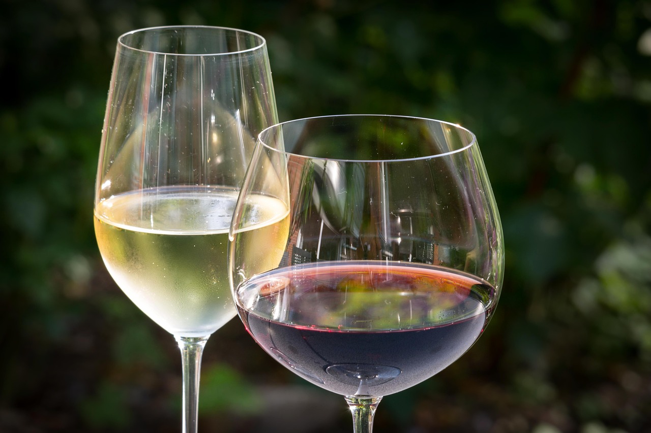 Praktický návod na výrobu révového vína krok za krokem 5 vyroba ruzoveho vina klaretu a barikovych vin vyroba revoveho vina