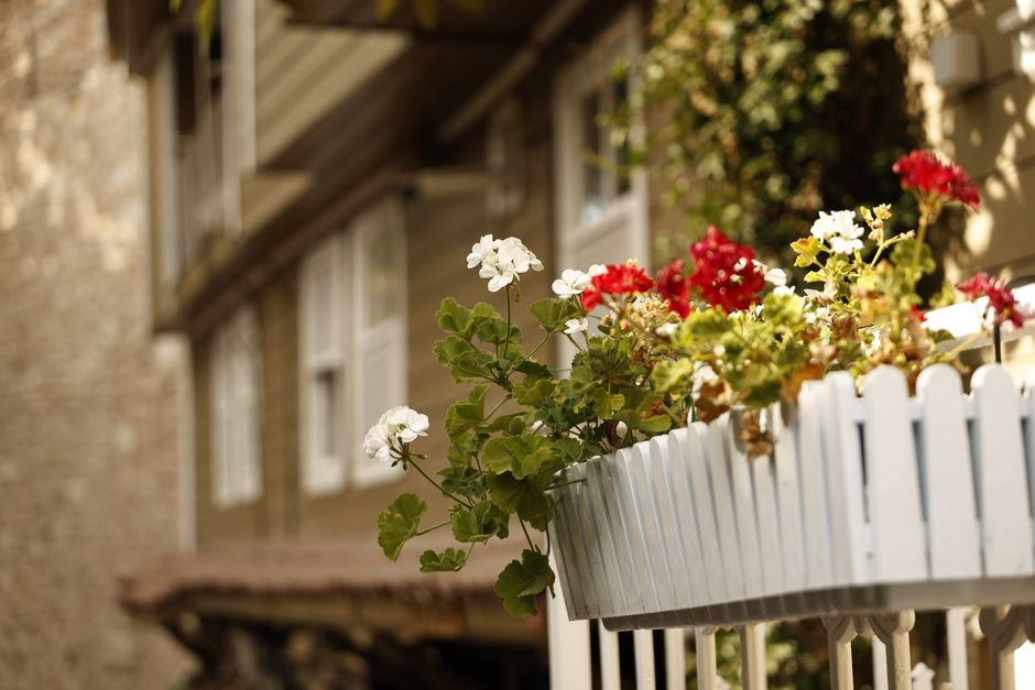 Balkonové květiny: na slunce i do stínu, výsadba a přezimování 1 Balkon s květinami