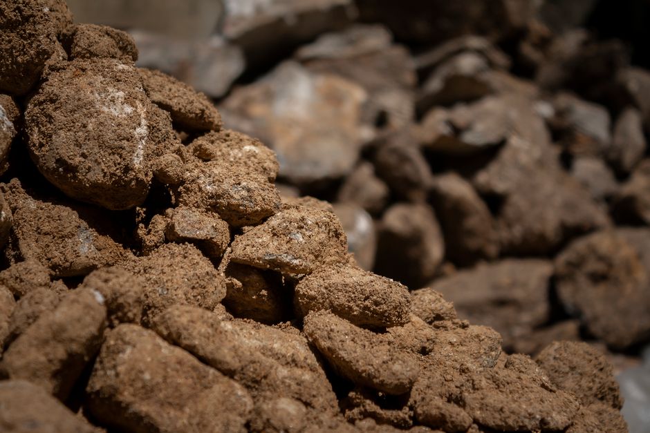 Humus v půdě: co to je, proč je důležitý a jak ho zvýšit 3 Drobtovitá půda se žížalami