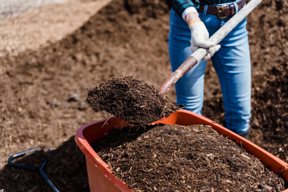 Písčitá půda: jak lehkou půdu zlepšit, hnojit a zalévat 2 Kompost na písčitou půdu