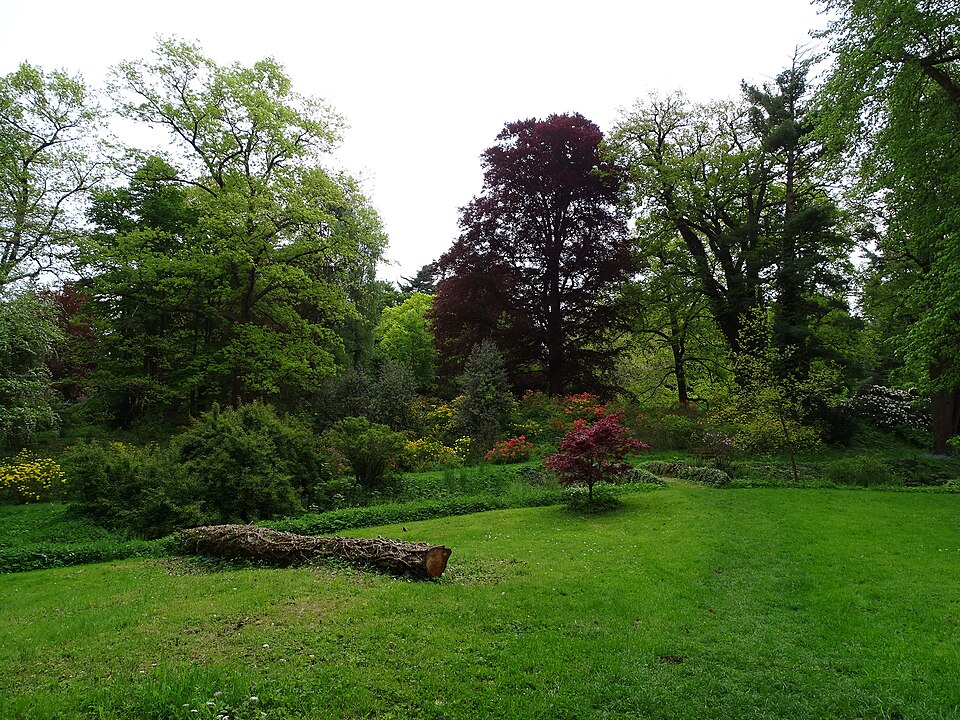 Zámek Dobříš a další zámecké zahrady ve středních Čechách 8 Zámecký park Vrchotovy Janovice severovýchodně od zámku