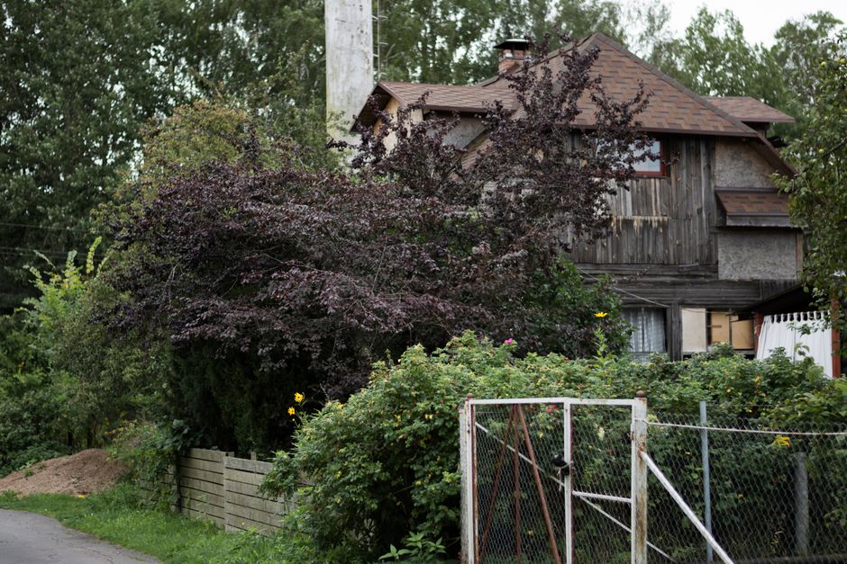 Vzdálenost stromu od hranice pozemku: pravidla a sousedé 1 Vzdálenost stromu od plotu souseda