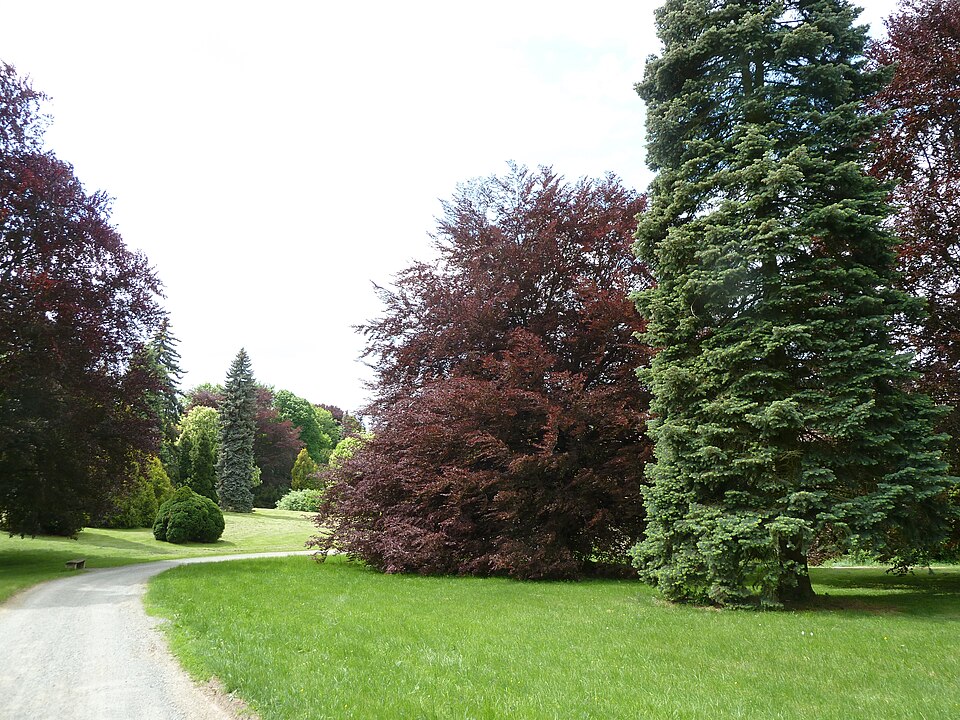 Hradec nad Moravicí, Čechy pod Kosířem a Holešov: zahrady 2 Park v Čechách pod Kosířem