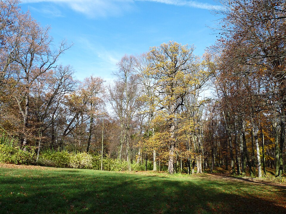 Anglický park a anglická zahrada: principy, stavby a kde je vidět 1 Park zámku Krásný Dvůr
